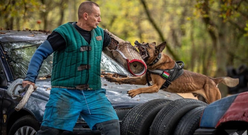 Különleges kiképzésen vettek részt a pápai katonai járőrkutyák ( fotók, videó)