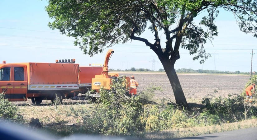 Miért vágják ki a fákat és irtják a bokrokat a 32-es út mellett? A Magyar Közút válaszolt