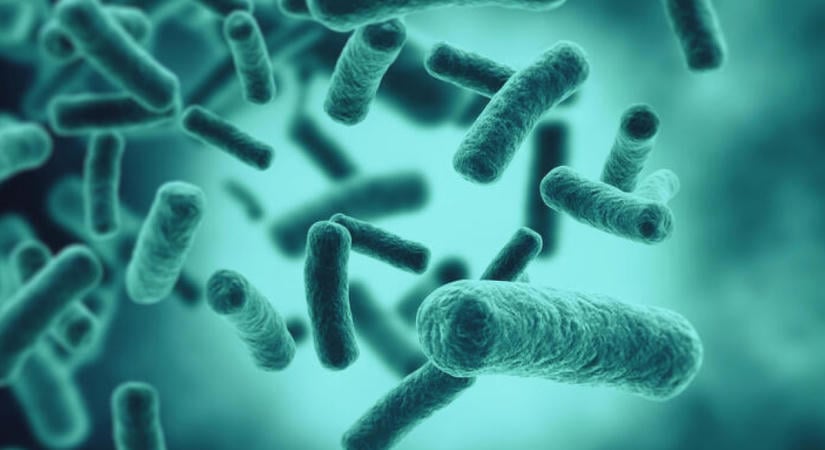 A WHO fokozottan figyeli az orosz pestis-gyanús haláleset körüli fejleményeket