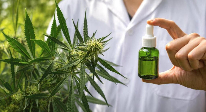 Medián: A magyarok négyötöde támogatná az orvosi kannabisz használatát