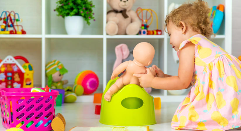 11 tipp, ami segíthet a szobatisztaság elérésében