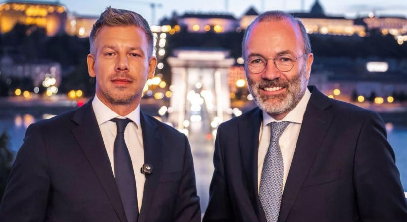 Kilóg az egész ló
