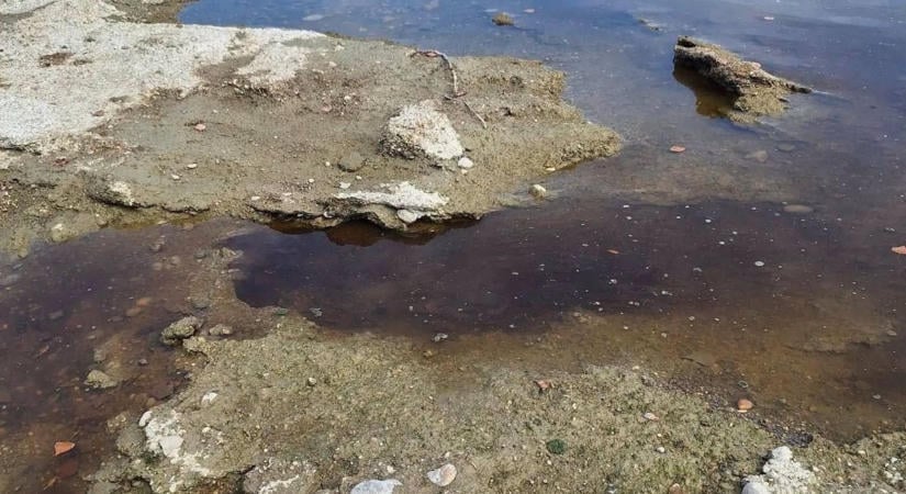 Megvan az eredmény: kiderült, mi került a Dunába Almásfüzitőnél