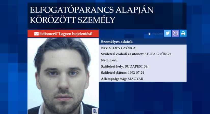 10 milliárdos árbevétel-csökkenést produkált a körözés alatt álló Stofa György tulajdonában álló bútorgyártó cég