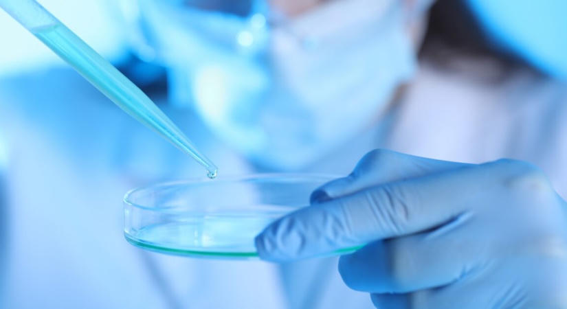 Egyetlen vérmintából is megállapítható lehet a belső szervek biológiai életkora