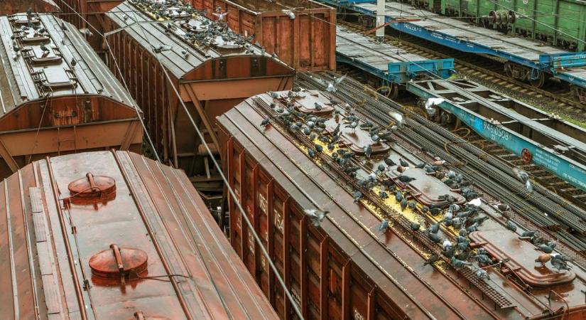 Leállt az ukrán tengeri export; jön a szárazföldi gabonadömping?