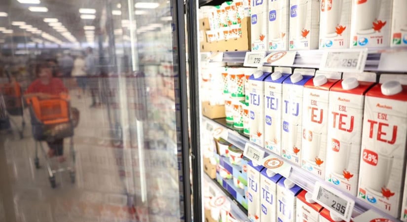 Valósággal ömlik az import tej Magyarországra: válságban a magyar tejágazat – a kisebb gazdaságok közül már többen feladták