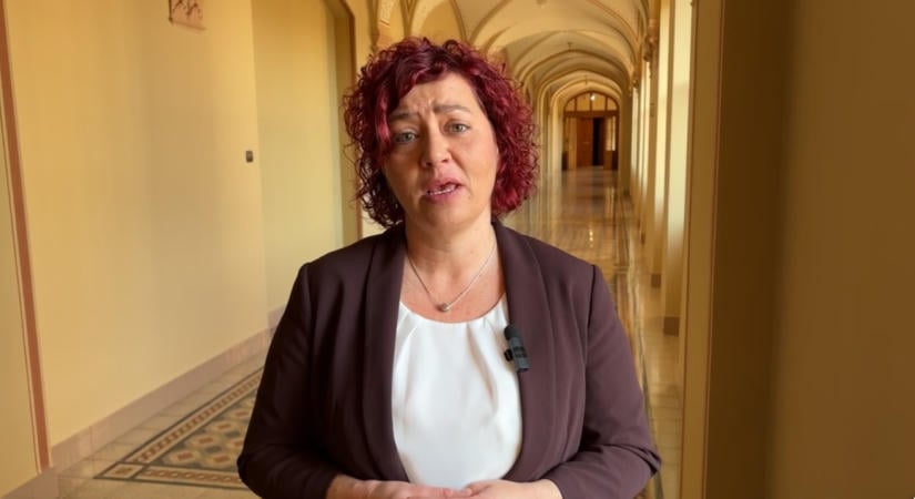 Önkormányzati tanácsadóknak alkalmazzák a régi ogy. képviselőket