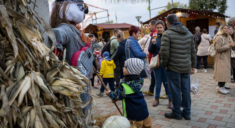 Szüreti napokat tartanak Tokajban
