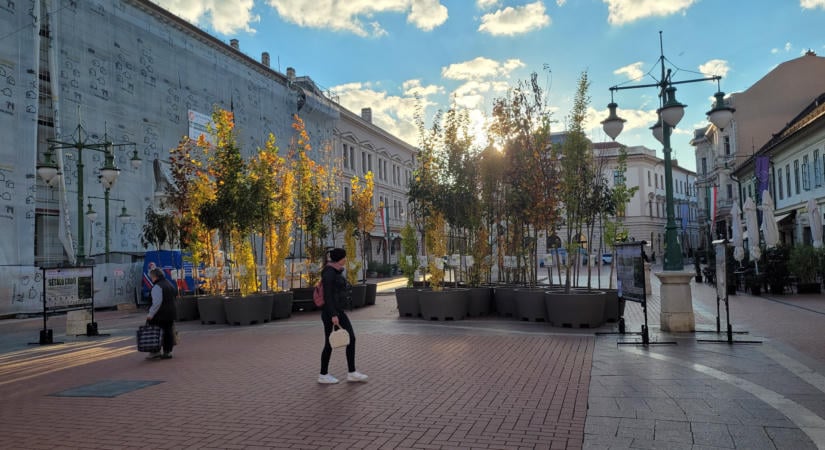 Ha a belvárosi beton gyökeret eresztene: sétál az erdő Szegeden