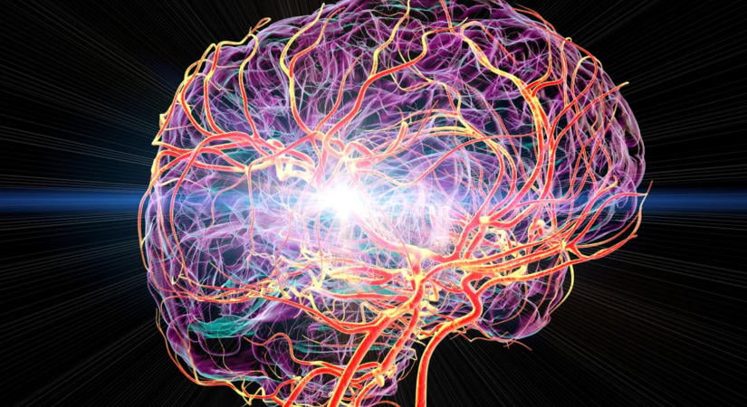 Egyre több fiatal kap stroke-ot, és fogalmunk sincs, miért