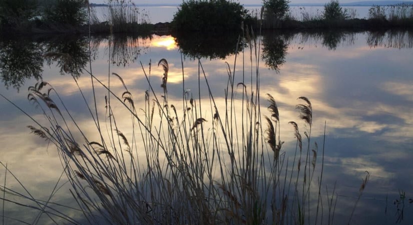 Balaton: a vízmérleg kritikus, a part menti sávhoz nem szabadna nyúlni