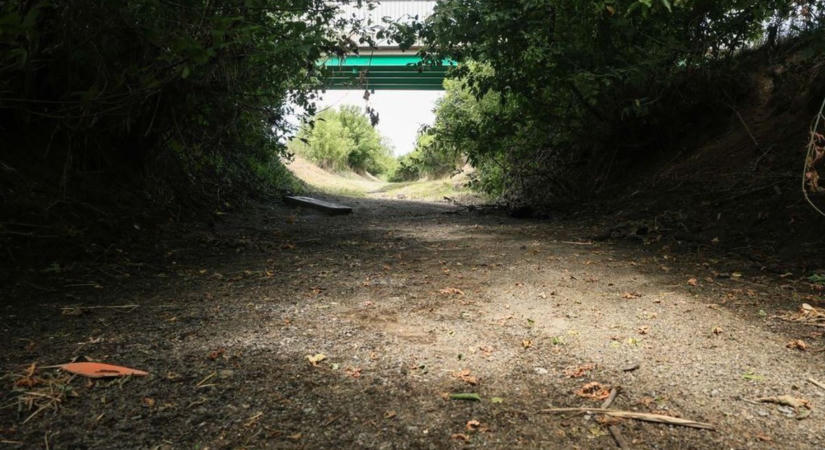 Állatok néma segélykiáltása - szívszorító nekrológot írt a Tarnáról a nemzeti park
