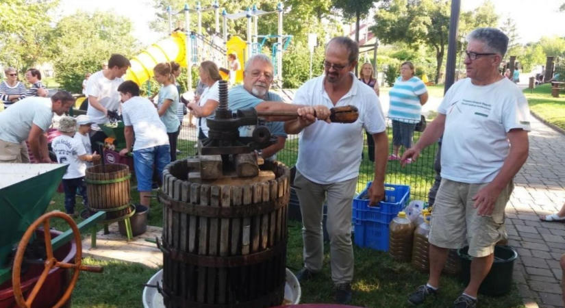 Arácsi Szüret közös szőlőfeldolgozással és gyermekműsorral