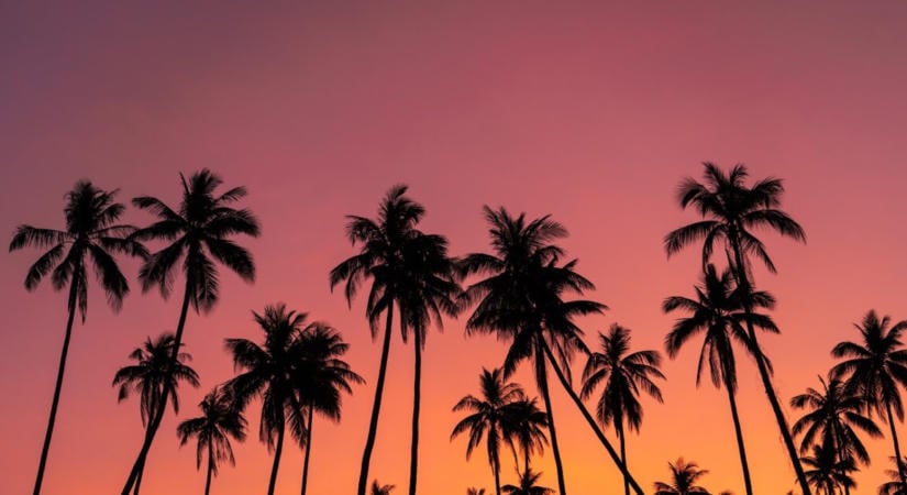 Ő lesz a főgonosz a Miami Vice új mozifilmes feldolgozásában