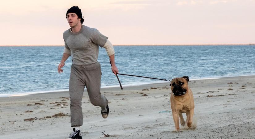 Végre előzetest kapott Stallone életrajzi filmje, az I Play Rocky!