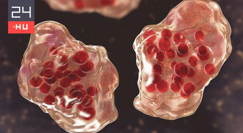 Visszatérőben van egy legyőzött betegség: ketten meghaltak kanyaróban Pennsylvaniában