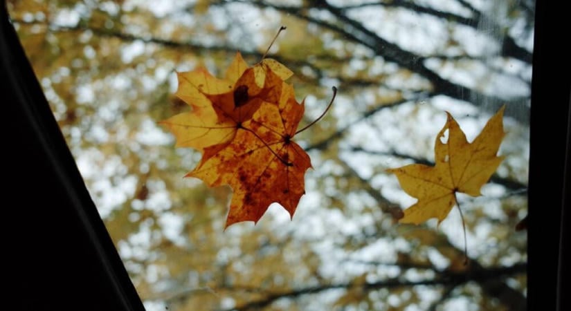 Az előzetes horoszkóp szerint ilyen November vár ránk – nem árt készülni