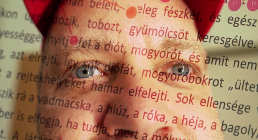 Bármi is okozza az olvasási nehézséget, van lehetőség a helyzet javítására! – Katz Dávid is kivizsgáltatta magát