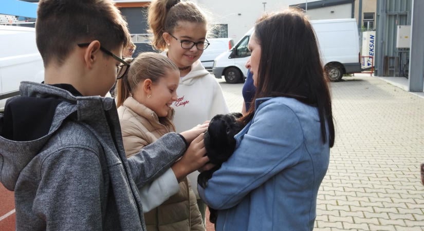 "Állati programot" tartottak a gyerekek örömére a Soproni Rendőrkapitányságon - fotók