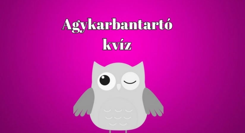Szerezd meg a maximális nyolc pontot ezzel a szellemi tréninggel - Friss kvízkalandod jött