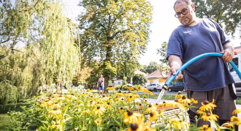 Locsolja a kertet? Több ezer forintot spórolhat, ha ezt a kedvezményt igényli