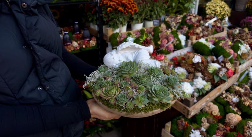 Egy kisebb vagyonba kerül a mindenszentek: ennyiért árulják a koszorúkat Tatabányán