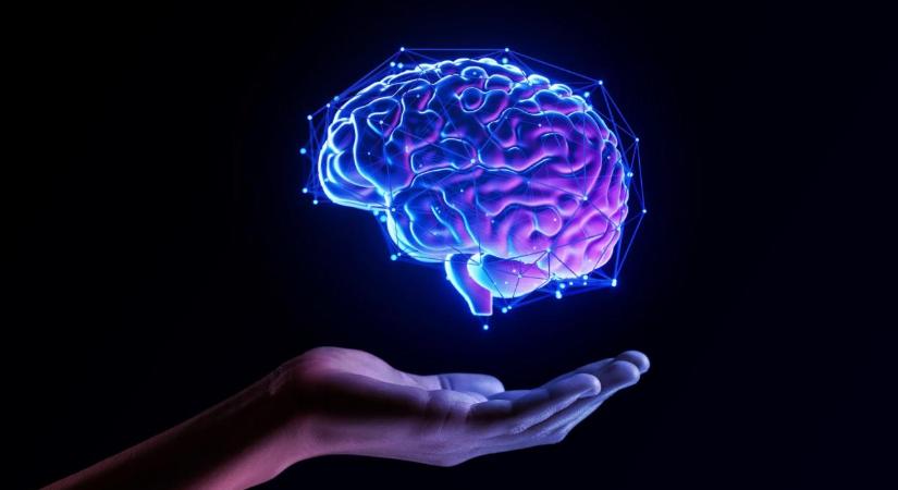 Az Alzheimer-kór tau fehérjéjének meglepő, rejtett szerepe az emlékezetben