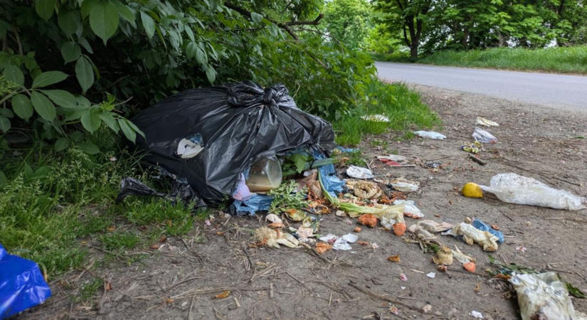 Nem csak pár eldobott palackról van szó – rémisztő, miket találnak az erdészek