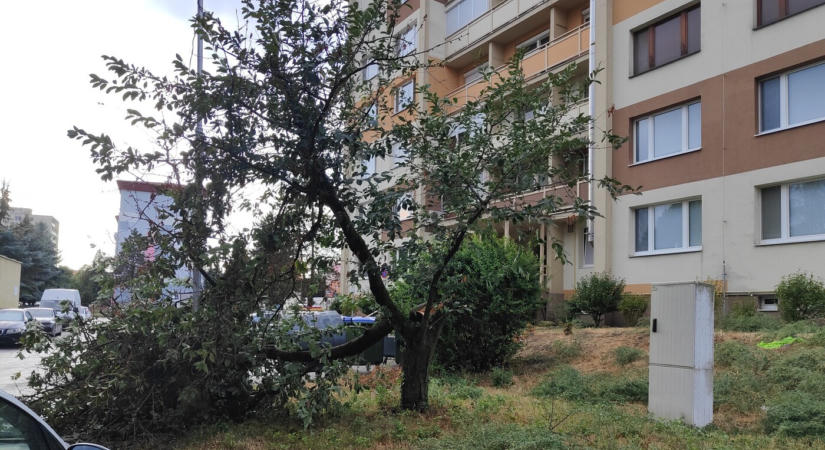 Heves vihar csapott le Rimaszombatra: fákat döntött ki, autók rongálódtak meg