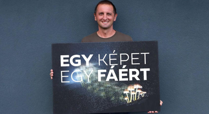 Jótékonysági licitet tartanak Esztergomban: fotóművész fásítaná a várost