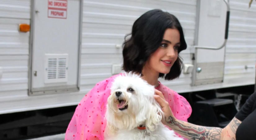 Lucy Hale a kutyáiról: „Nem tudom, mi lett volna velem nélkülük”