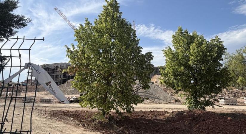 Már félmilliárd felett járhat a görög falu helyén ígért közpark? (galéria)