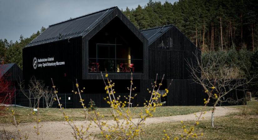 Új robotikai AI-modellt dob piacra a Black Forest Labs