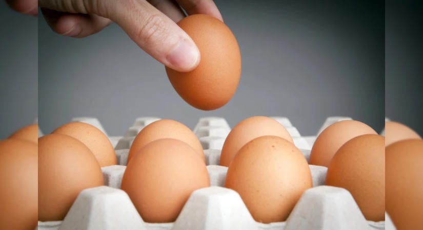 A tojás elkészítésének legszívbarátabb módja