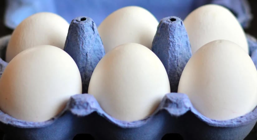 Így tárold a tojásokat a hűtőben, és sokkal tovább frissek maradnak