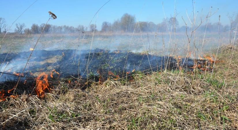 Harminc hektárnyi aljnövényzet kapott lángra Kabánál, Jászberénynél is küzdenek a lángokkal