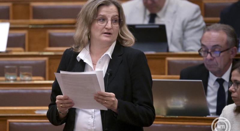 A visszaküldött kamarai törvényről a parlamentben