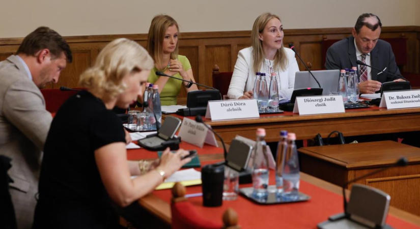 Az örökbefogadás és a kórházban hagyott újszülöttek lesznek a gyermekvédelmi vizsgálóbizottság első témái