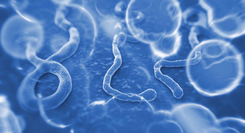 Most robbanhat be a halálos járvány: gyorsan terjed a kórokozó, de sztrájkba léptek az ebola elleni harc kulcsszereplői – három hónapja nem kaptak fizetést egy kormánydöntés miatt