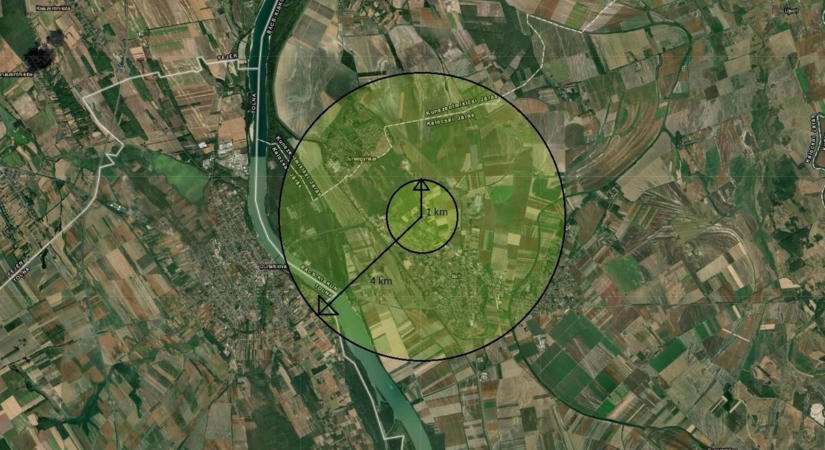 Növényegészségügyi zárlat: Dunaföldvárt is érinti a szőlőbetegség miatti intézkedés