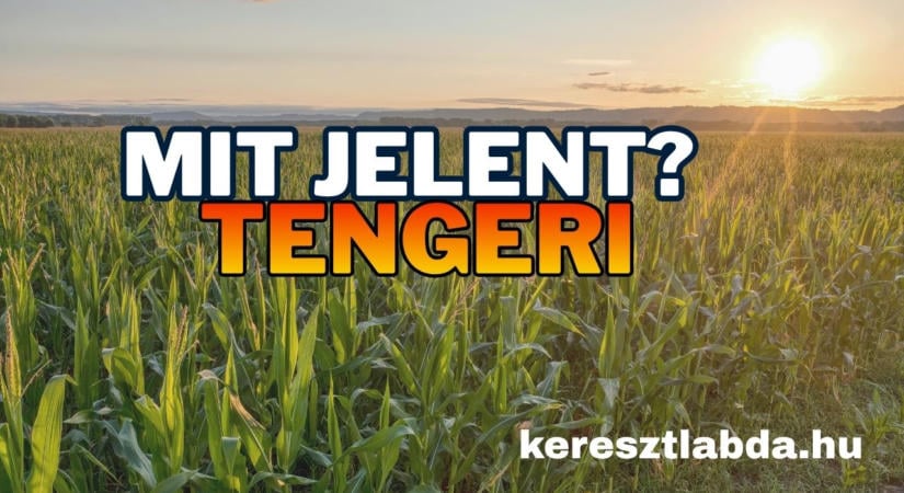 Tájszólás feladat: Te tudod, mit jelent a tengeri?