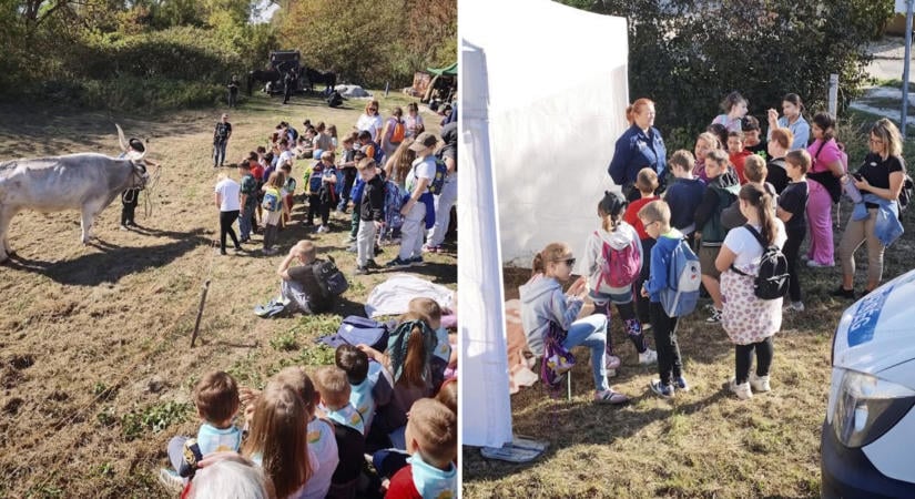 Több mint ötszáz gyermek vett részt az állatok világnapi rendezvényen az esztergomi gátőrháznál