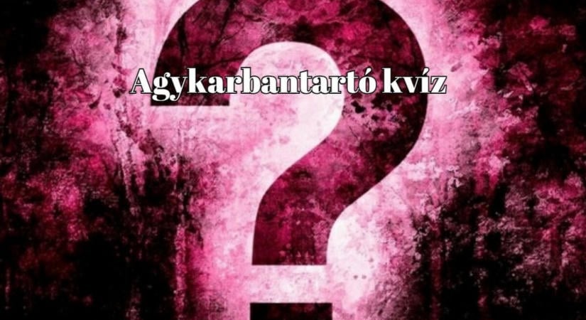 Befutott a kvízexpressz - Tartsd frissen agytekervényeidet és szerezd meg a pontokat