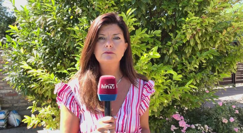 Kikényszerített elnöki lemondásról és alkotmányos átalakulásról cikkezik az olasz sajtó