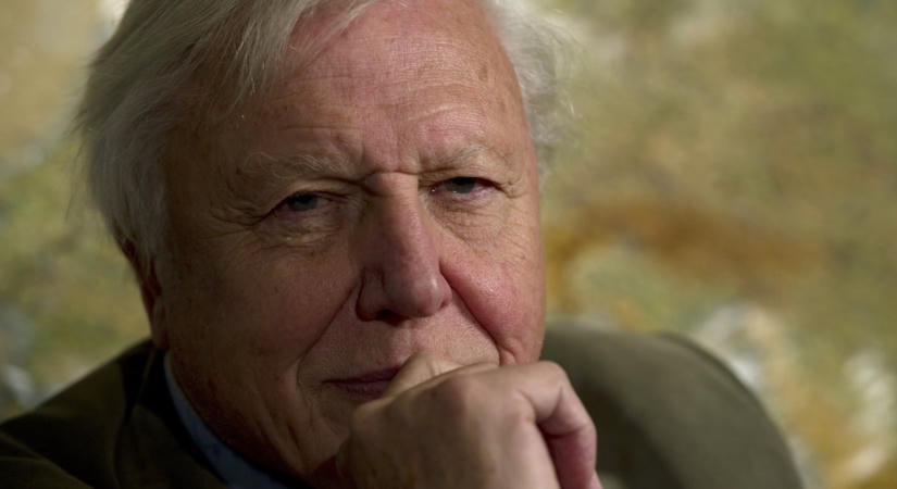 A 100 éves David Attenborough győzött a brit tévés díjkiosztón – megható beszédében fontos dologra figyelmeztetett