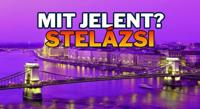 Napi tájszólás feladat: Ismered még a stelázsi szót?