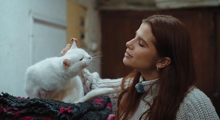 Kutyák, cicák, vadmalac: egy nem mindennapi állatfarmon jártunk - videó!