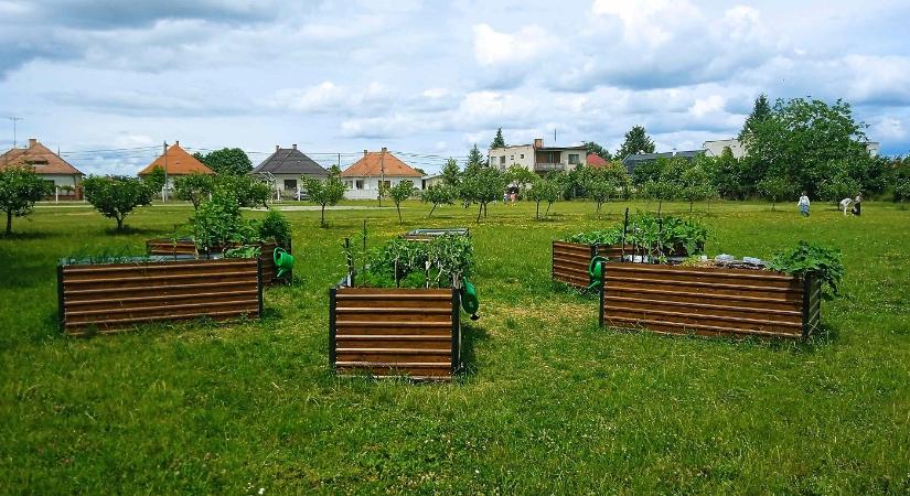 Közel háromezer gyermeket mozgatott meg a KiskertÉsz Iskolakert Program