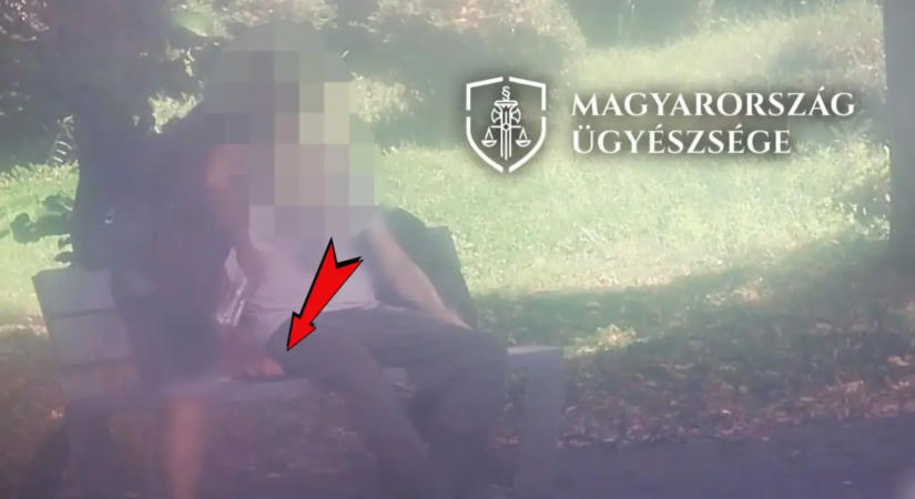 Gyorsított eljárásban ítélték el a soroksári tolvajt